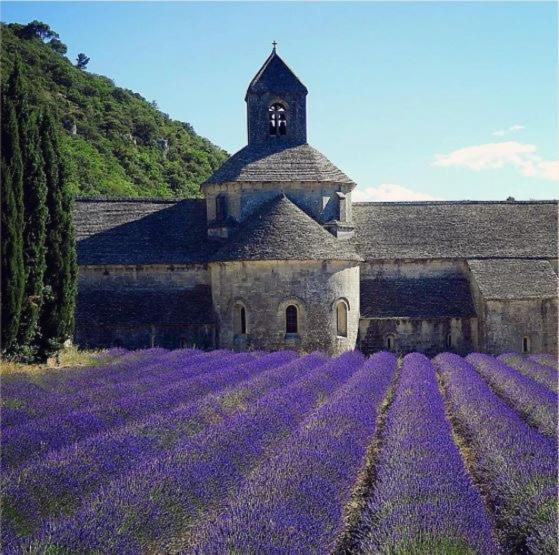 Mas Orea Cote Piscine Gordes Exterior foto